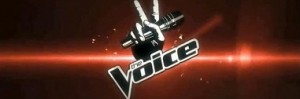 The Voice Talent Show