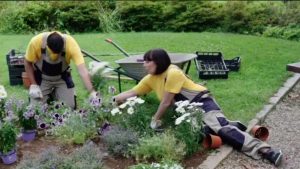 Guerrilla Gardeners